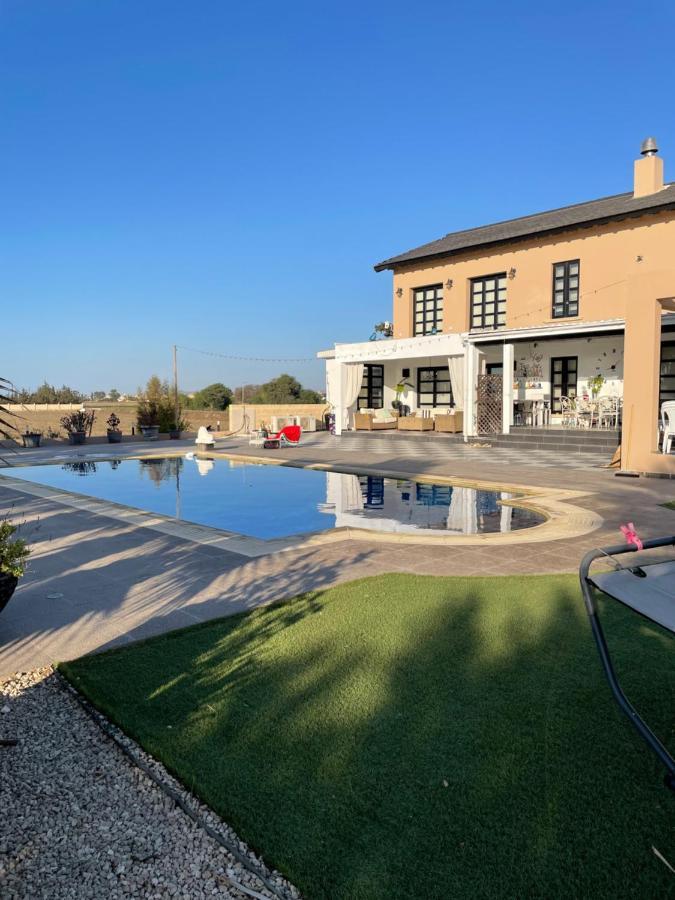The Pervoli Studio - Pool - Close To Beach لارنكا المظهر الخارجي الصورة