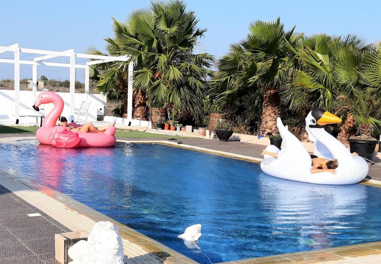 The Pervoli Studio - Pool - Close To Beach لارنكا المظهر الخارجي الصورة